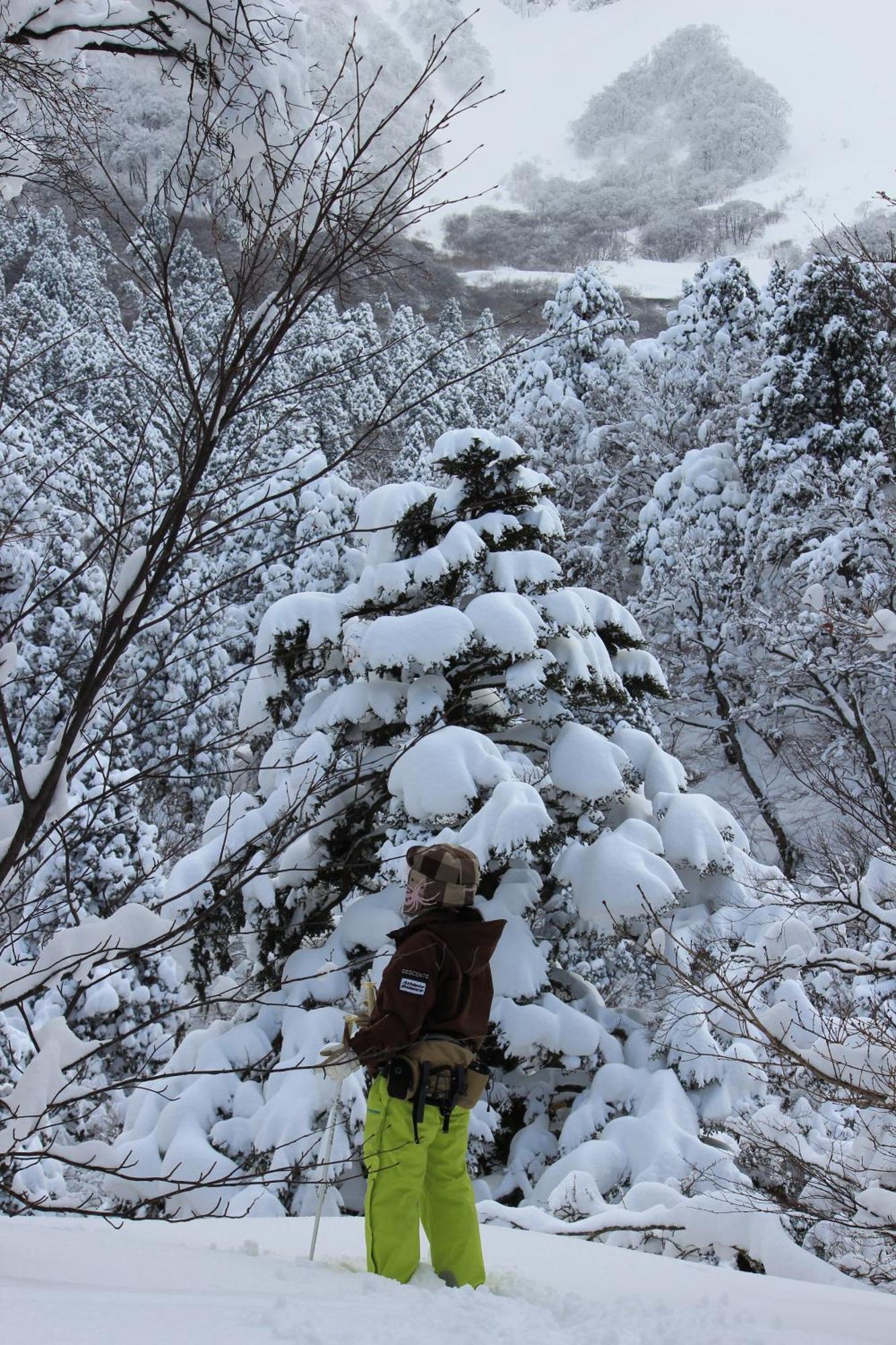 Shukubo Kansho-In Temple Sanrakuso Daisen  Eksteriør bilde