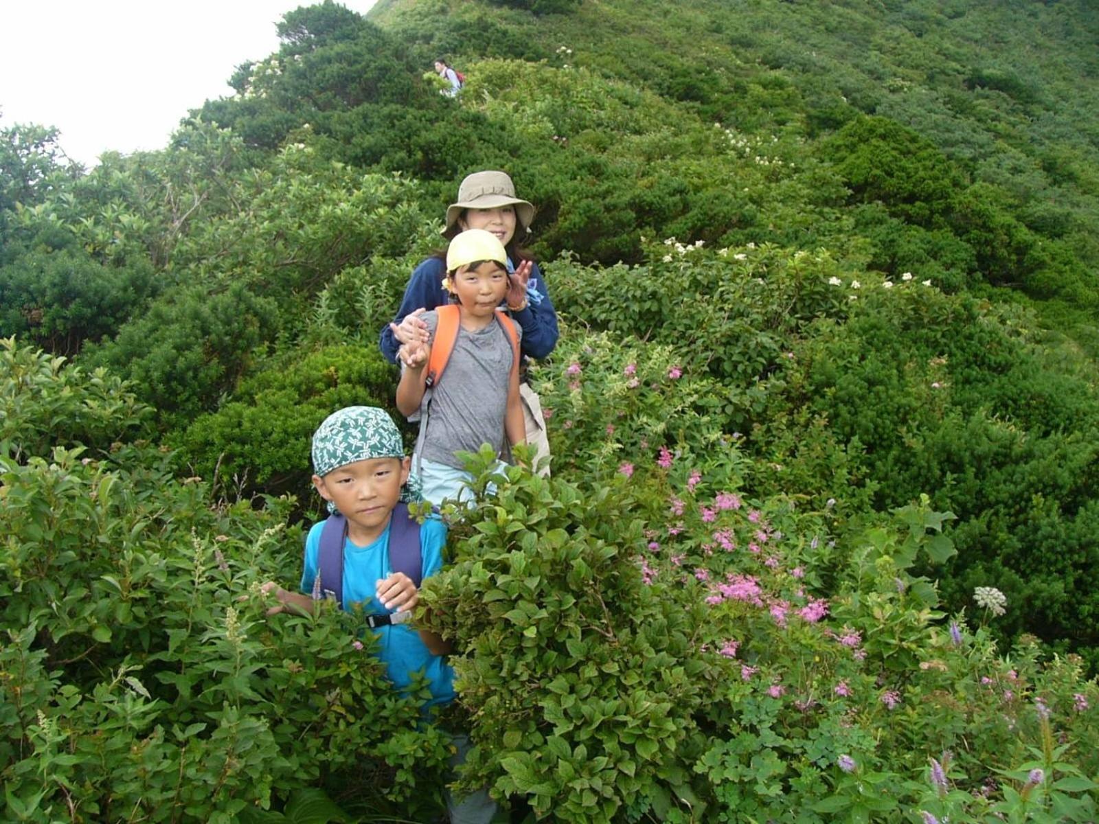 Shukubo Kansho-In Temple Sanrakuso Daisen  Eksteriør bilde