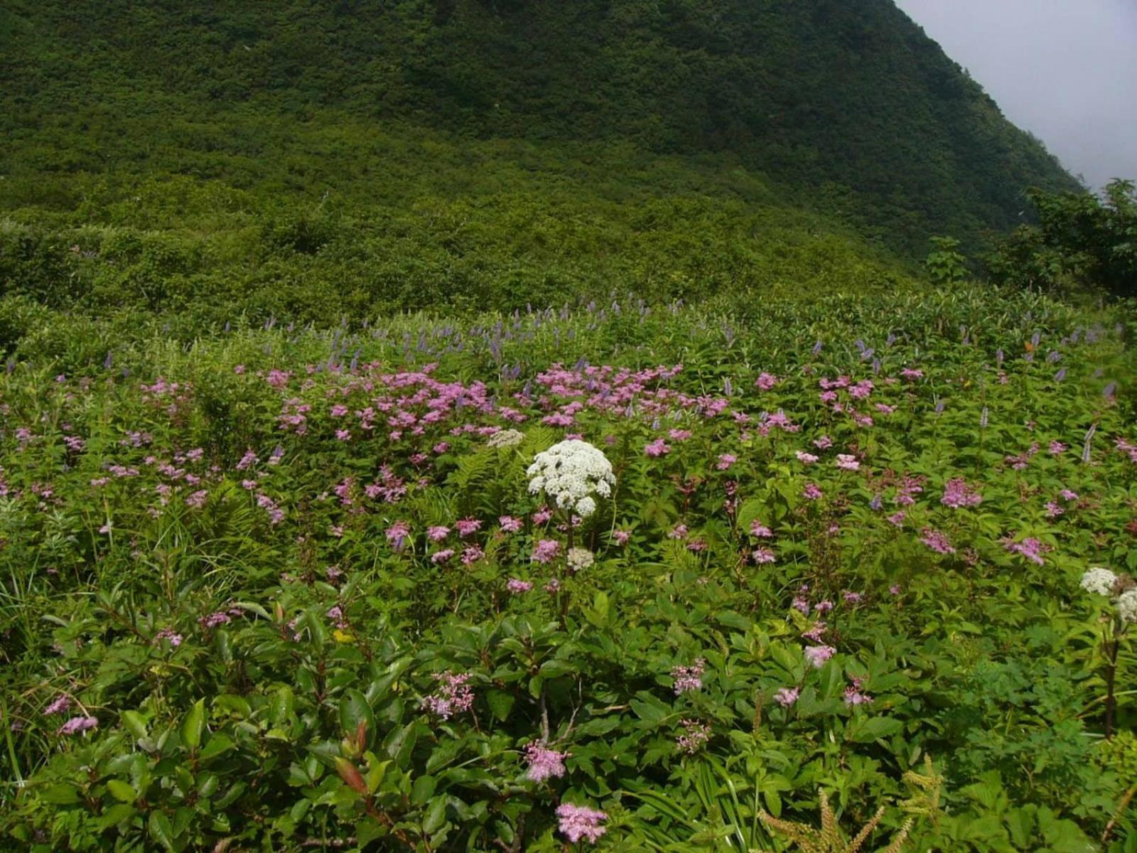 Shukubo Kansho-In Temple Sanrakuso Daisen  Eksteriør bilde